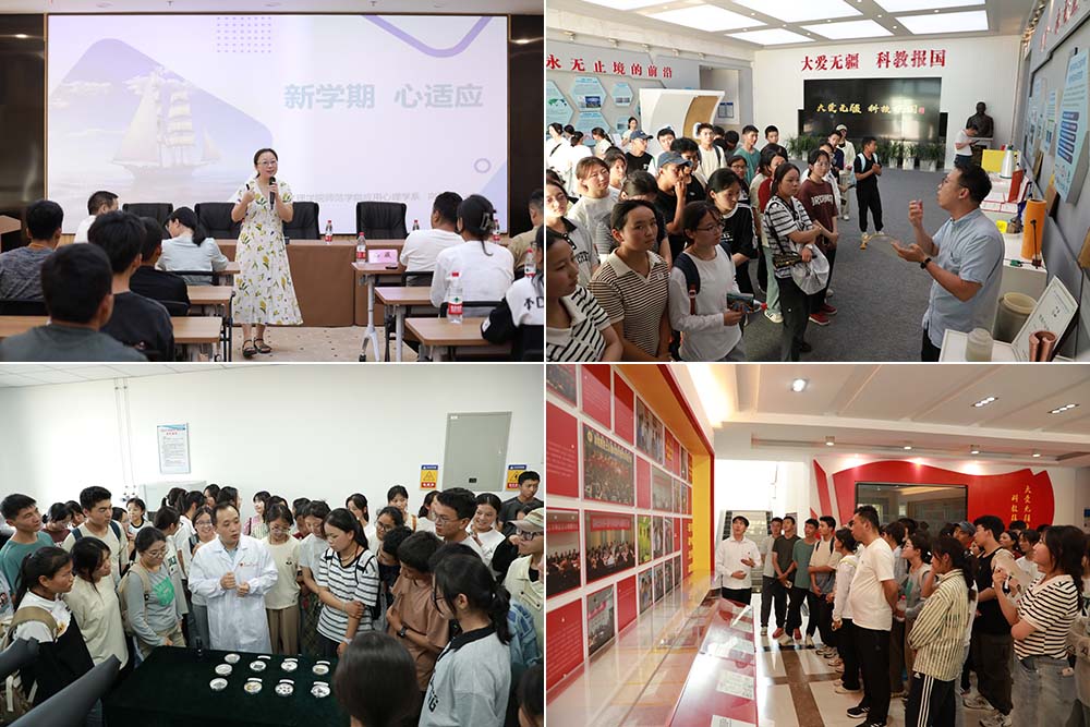 vFnP_1728351824706057346.jpg 3.jpg